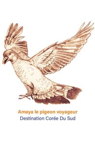Amaya le pigeon voyageur