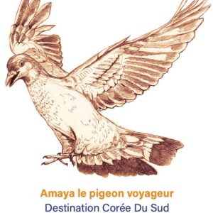 Amaya le pigeon voyageur